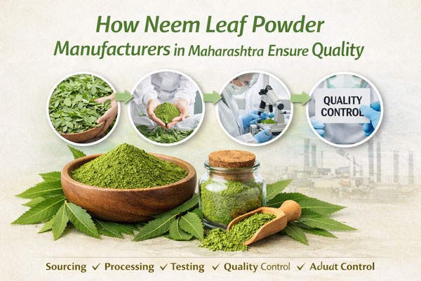How Neem Leaf Powder Manufacturers in Maharashtra Ensure Quality
