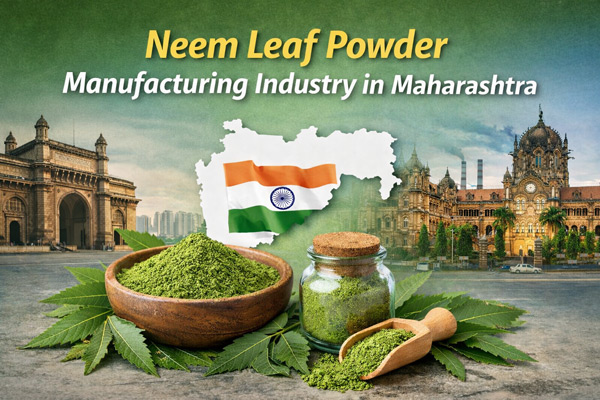 Top 5 Best Neem Leaf Powder Manufacturers in Maharashtra